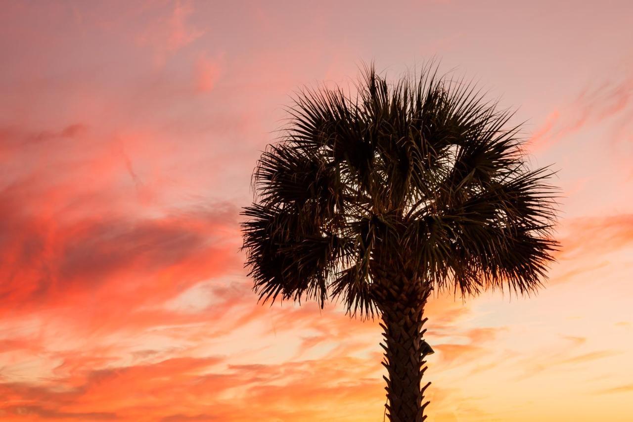1314 Pelican Watch - Seabrook Island - Beachfront 5 Star Condo - Fido Friendly المظهر الخارجي الصورة