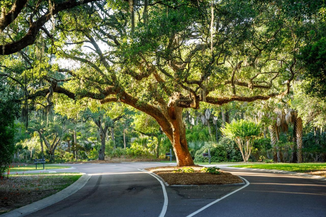 1314 Pelican Watch - Seabrook Island - Beachfront 5 Star Condo - Fido Friendly المظهر الخارجي الصورة