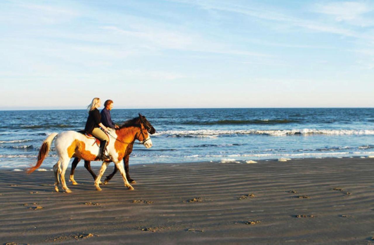 1314 Pelican Watch - Seabrook Island - Beachfront 5 Star Condo - Fido Friendly المظهر الخارجي الصورة